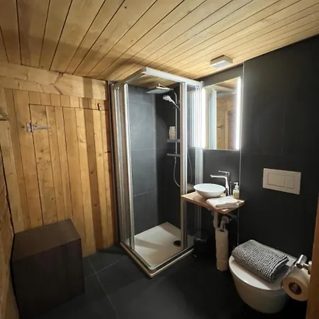 Haus Bergmann 博尔蒂根