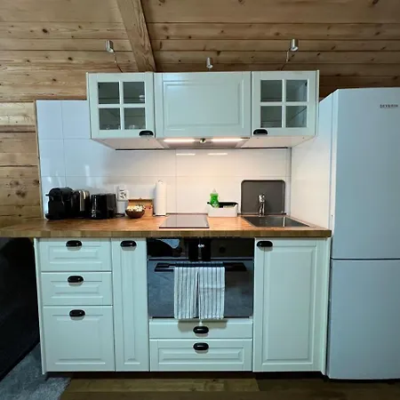 Haus Bergmann 博尔蒂根