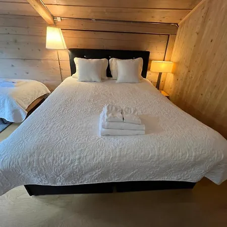 Haus Bergmann 博尔蒂根